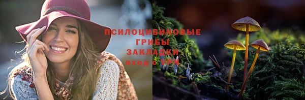 стафф Горно-Алтайск