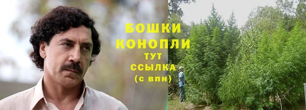стафф Горно-Алтайск
